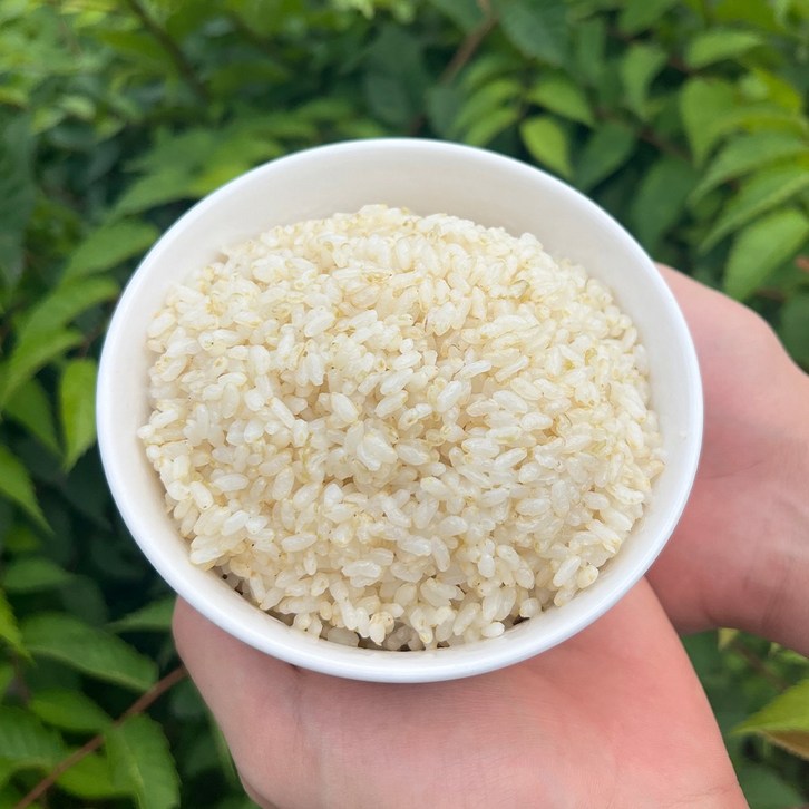 맑은라이스 2024년산 햅쌀출시 일품 쌀눈쌀 2kg 4kg 10kg 당일도정 5분도미 7분도미 삼시세끼, 10kg, 1개