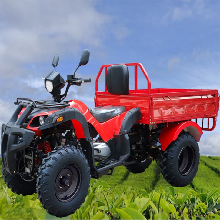 200cc 농업용 화물 ATV 사륜오토바이