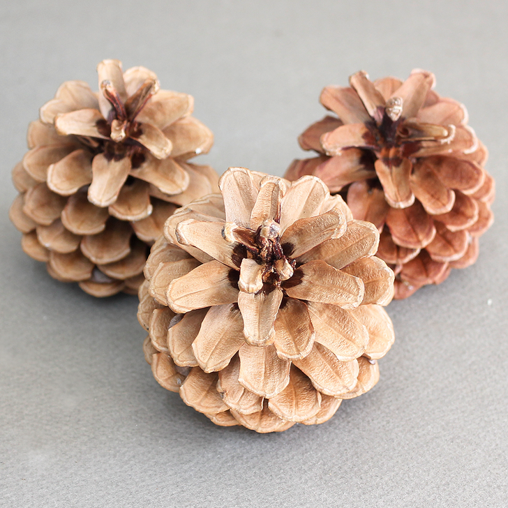 대형 솔방울 58cm 천연 가습기 크리스마스 트리 장식 리스 오너먼트 가랜드 소품