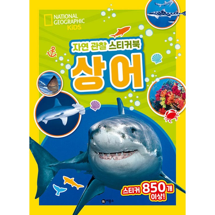 자연 관찰 스티커북 상어