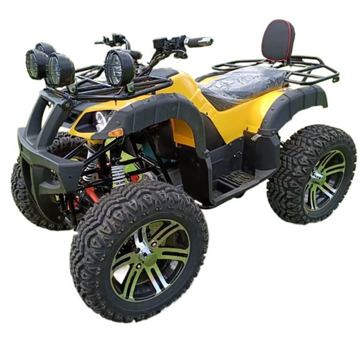 ATV 4구동 전기 비치카 빅 비치오토바이 성인 2인승 크로스컨트리 4륜 오토바이