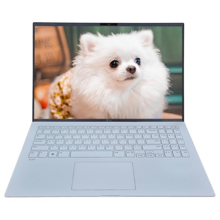 LG전자 2025 그램 AI 15 라이젠5, 에센스 화이트, 1TB, 16GB, WIN11 Home, 15ZD80TGX56K
