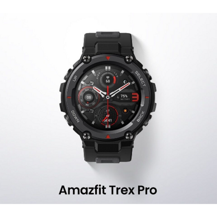 어메이즈핏 티렉스 프로 T Rex Pro 오픈 블랙