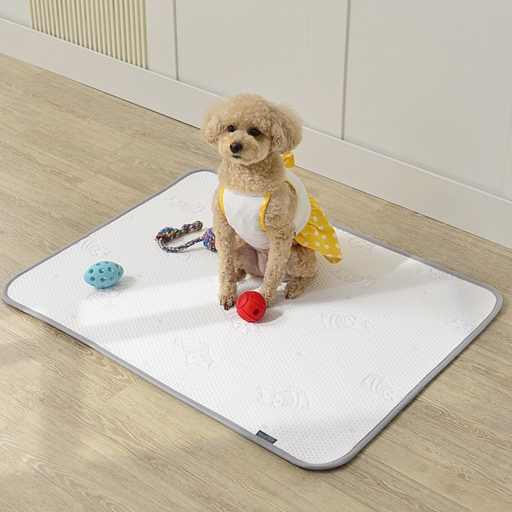 듀라론 냉감 패드 애견용 매트 방석 패드 개시원 쿨 패드 댕댕이 필수템 소형 대형 강아지 방석 쿠, 그레이