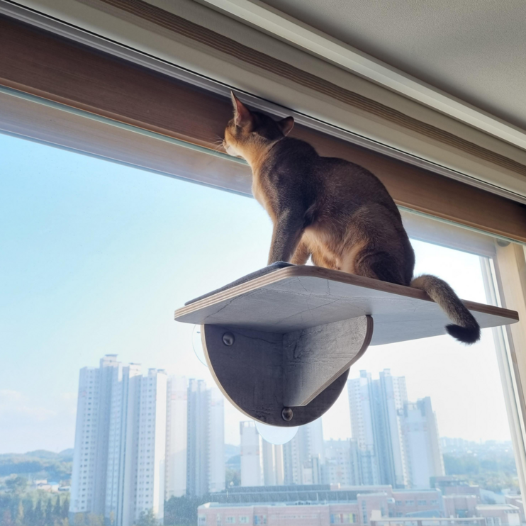 헤라우스점핑 고양이 일광욕 창문 캣타워 투명 해먹 캣워크 캣워커 캣폴, 창문 캣워커, 1개 - 에잇폼