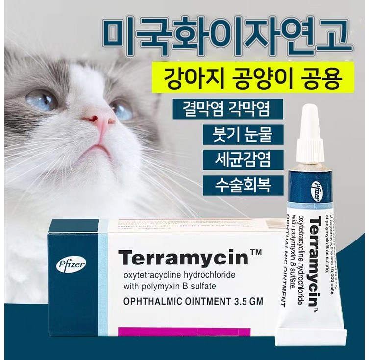 미국제 강아지 고양이 눈증 케어 YG1
