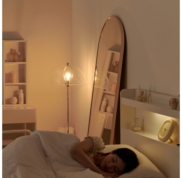 레드팩토리 밀리 라운드형 전신거울 2 size 감성거울 인테리어거울 미드센츄리, 실버