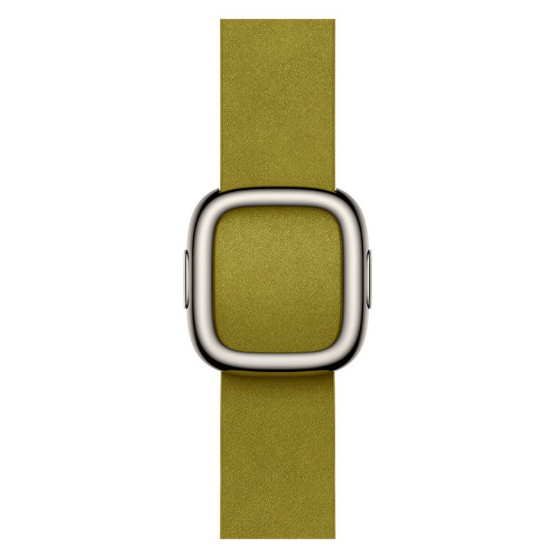 Apple 정품 2024 애플워치 모던 버클, 38/40/41/42mm, Small, 샤르트뢰즈 1