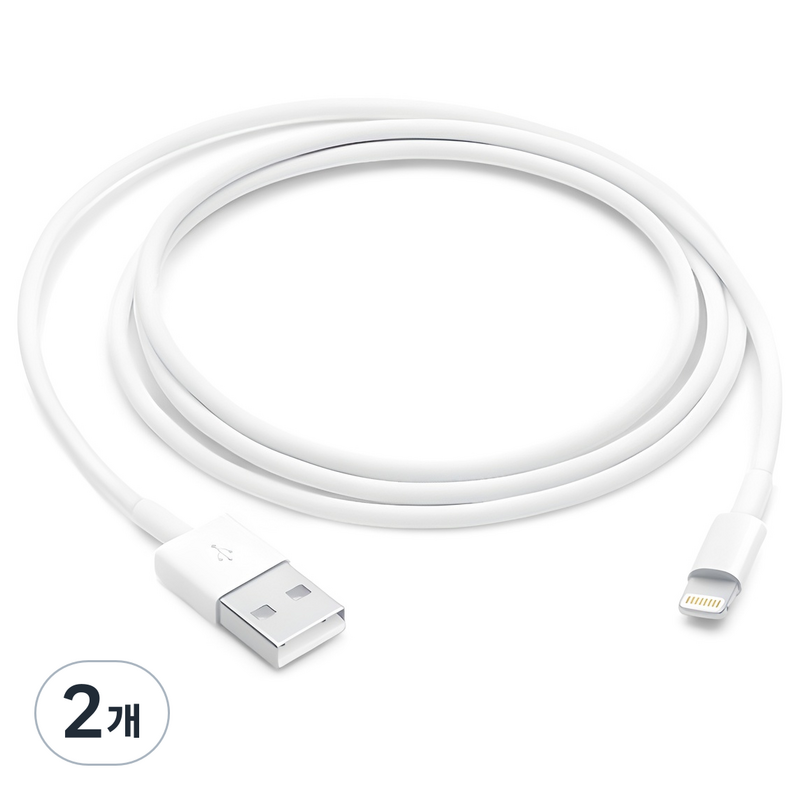 Apple 라이트닝 USB 케이블, 100cm, 2개 1